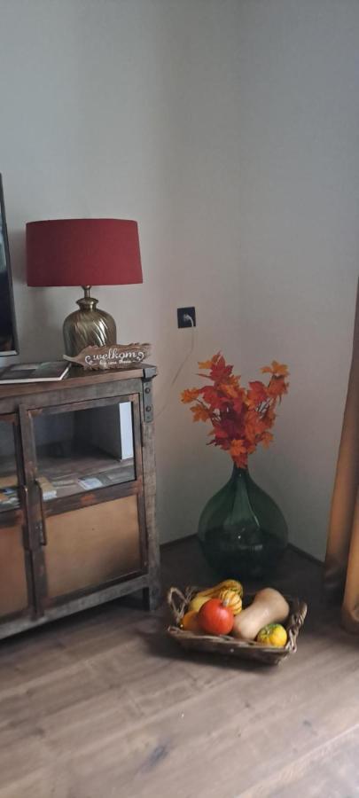 B & B Meerland43 מראה חיצוני תמונה